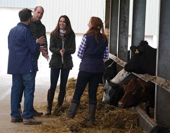 Kate Middleton in a casual edition drove a tractor and petted sheep on a farm