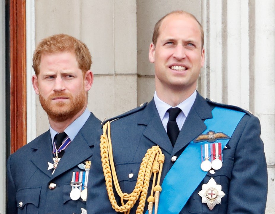 Harry and William took a joint step