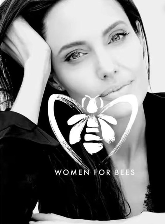 Angelina Jolie poses with bees on herself for World Bee Day