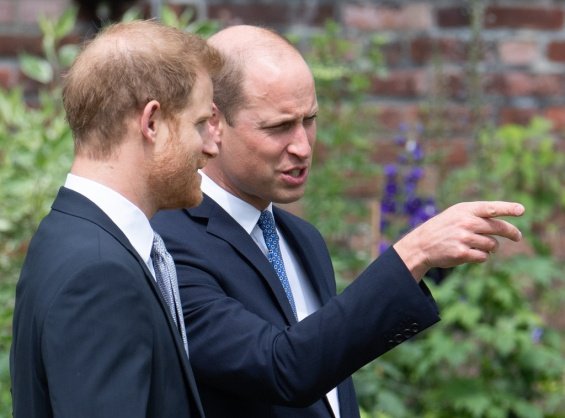 Princes William and Harry team up to unveil a new statue of Princess Diana