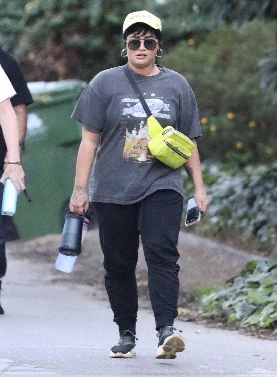 Demi Lovato unrecognizable after being declared a non-binary gender and pansexual