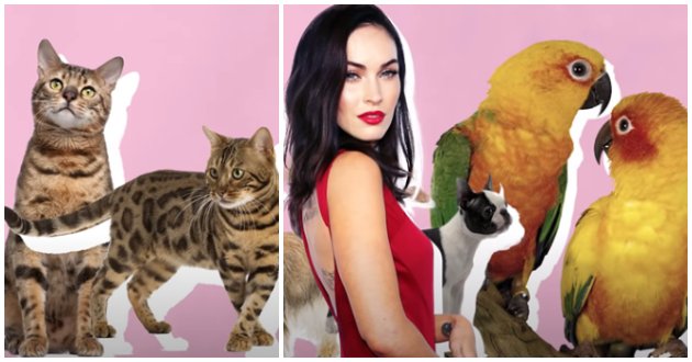 Living on rent and buying food with coupons - How does Megan Fox spend millions?
