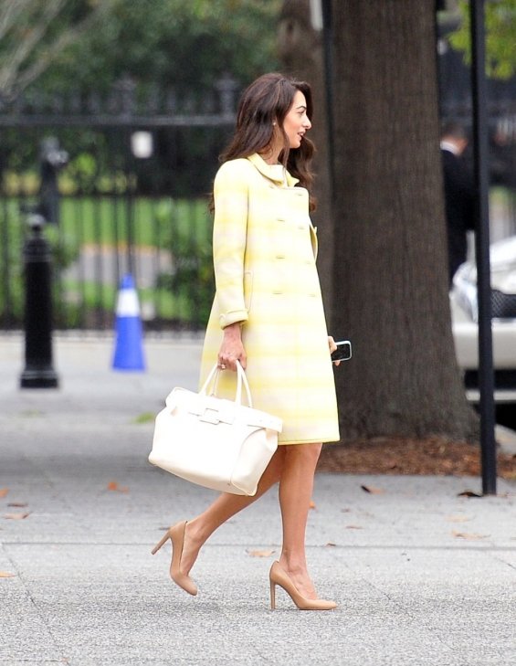 Amal Clooney in business styling in Washington