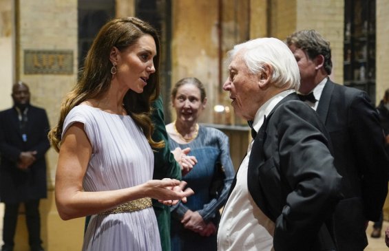 Duchess Catherine in a creation by Alexander McQueen with Prince William at an awards ceremony in London