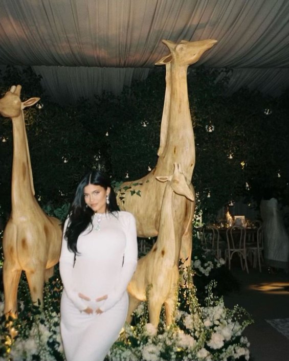 Kylie Jenner made a party for the upcoming birth of the second child - See details (photo)