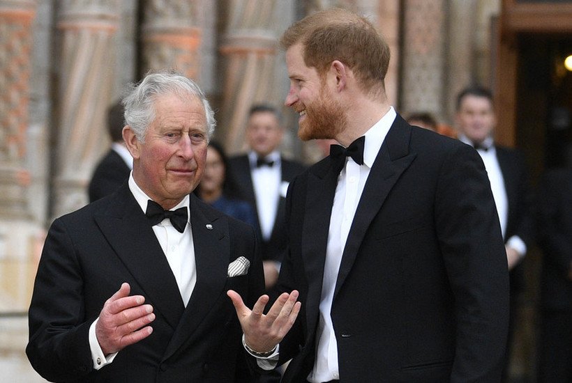 Princes Charles and Harry are under investigation by police