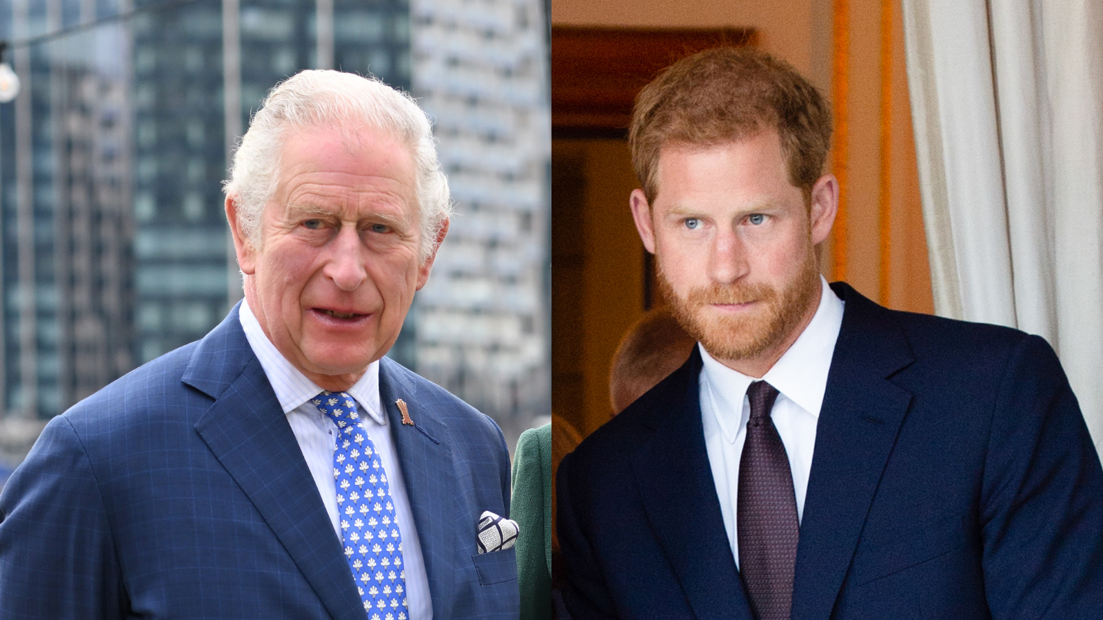 Princes Charles and Harry are under investigation by police