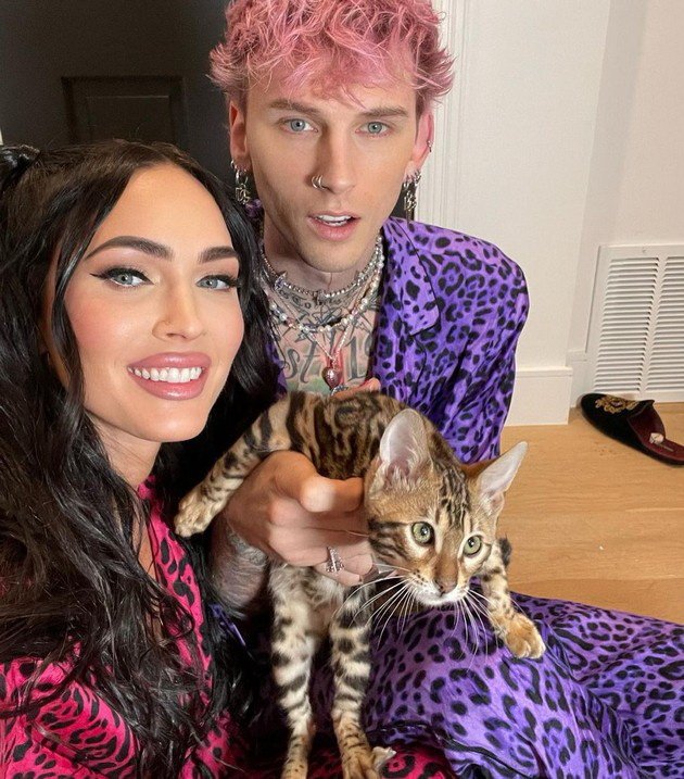 Megan Fox photographed in Los Angeles - She and Machine Gun Kelly adopted a kitten