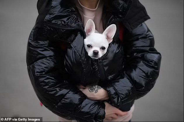 Emotional: Ukrainian refugees carry their pets across the border in their arms