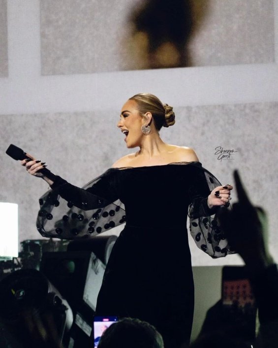 Adele congratulated her beloved on his birthday with a song in the middle of the concert