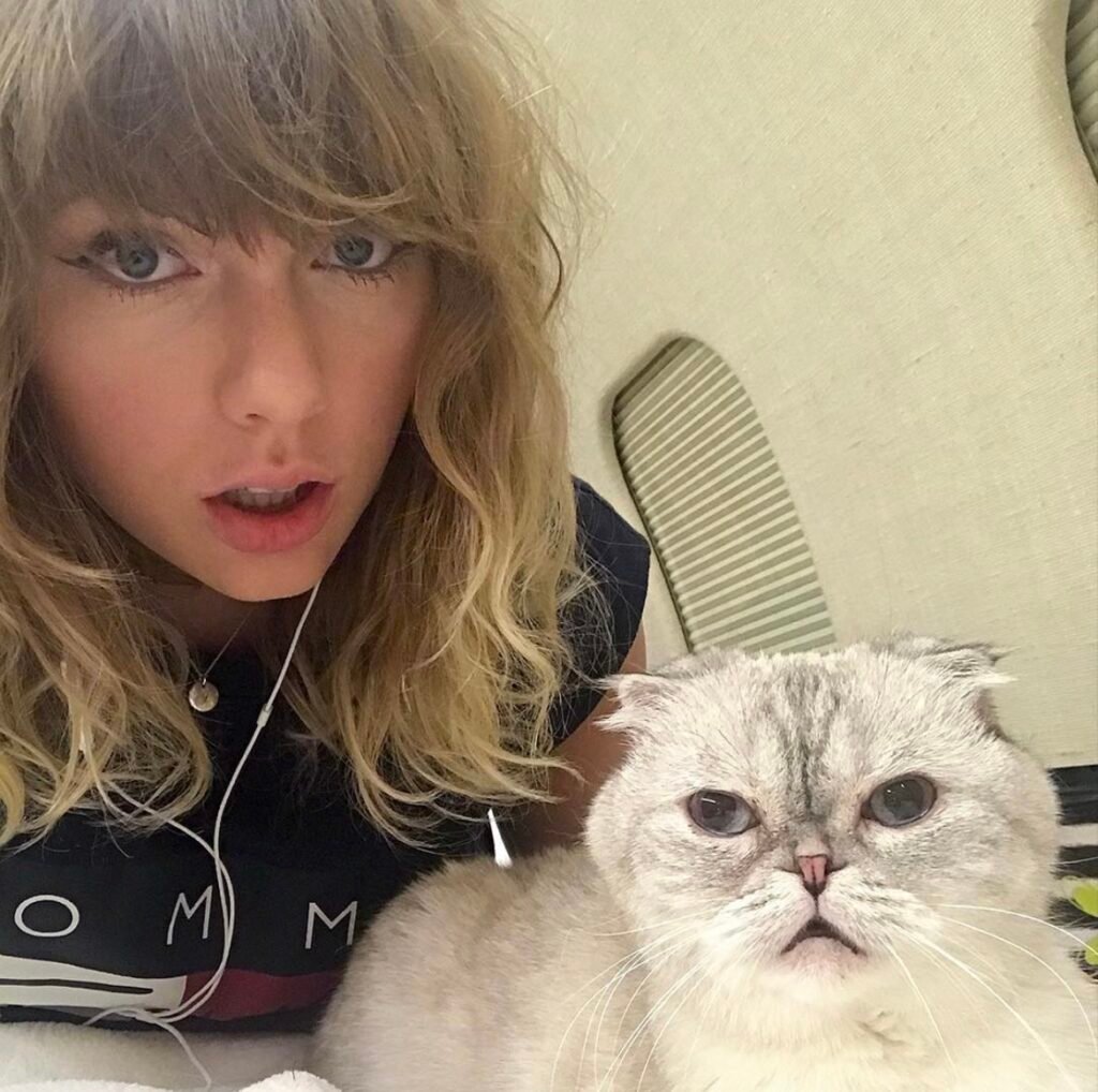 Taylor Swift’s Cat Has A Higher Net Worth Than Her Boyfriend Travis Kelce