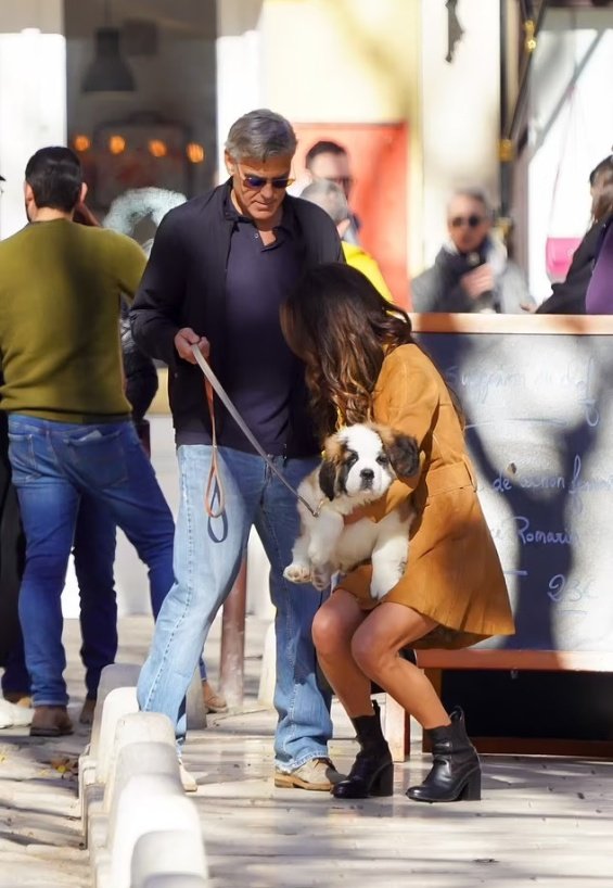 George And Amal Clooney Walk Their Birthday Puppy