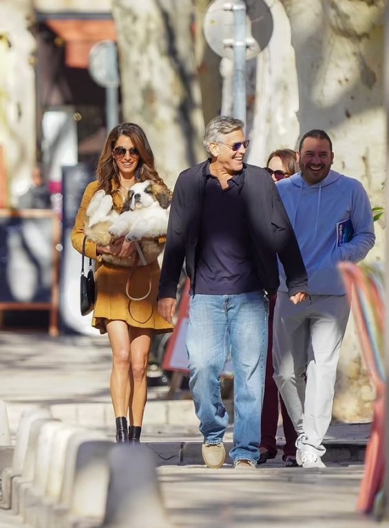 George And Amal Clooney Walk Their Birthday Puppy