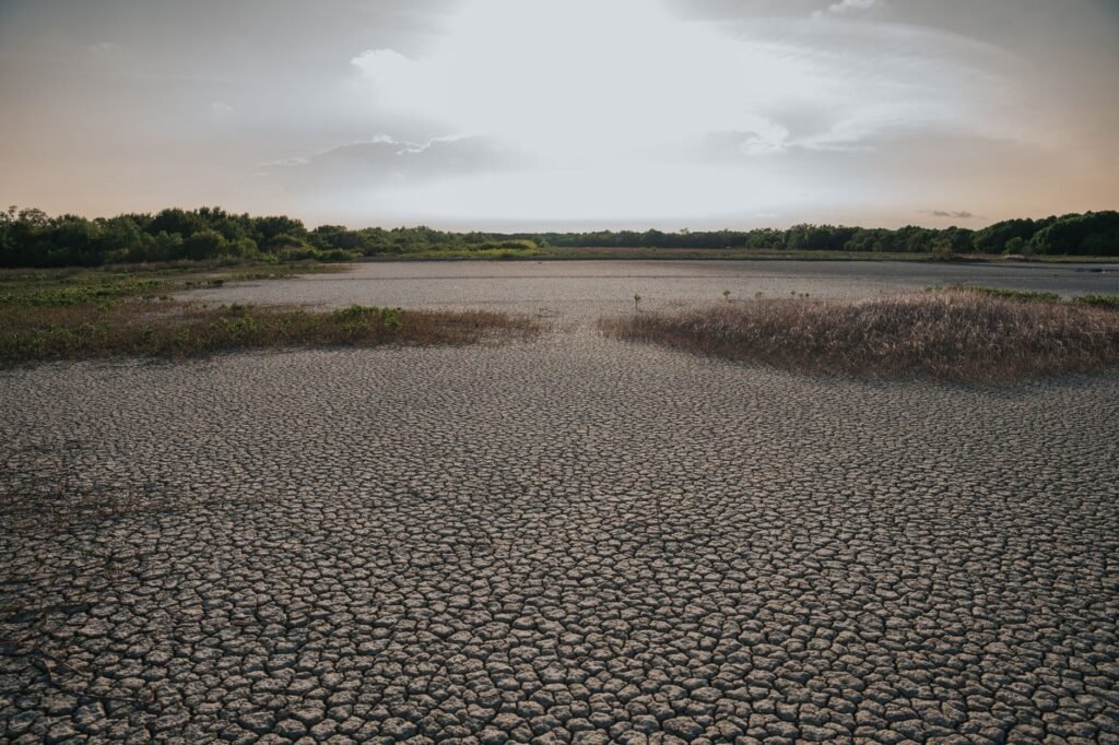 Understanding the Global Water Crisis