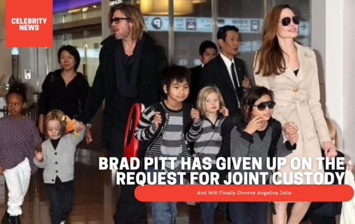 Brad Pitt Has Given Up On The Request For Joint Custody And Will Finally Divorce Angelina Jolie