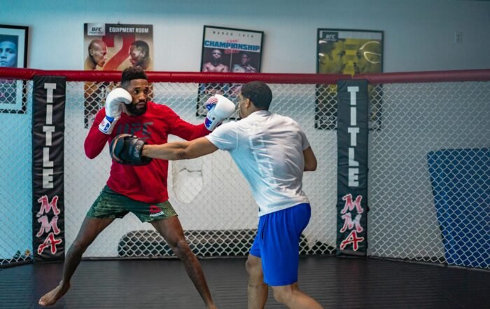 Underdog Fighter Secures Unexpected UFC Heavyweight Title
