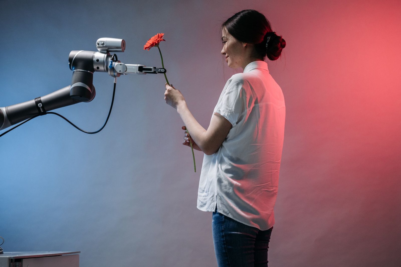 AI model demonstrates human creativity sparking debate