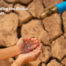 Understanding the Global Water Crisis