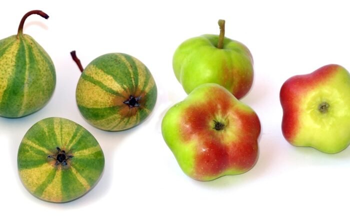 Android 17 API Changes Break AOSP Integration
